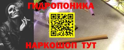 молекула духа Обь
