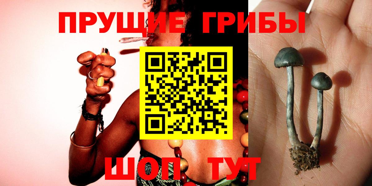 Галлюциногенные грибы GOLDEN TEACHER Урюпинск